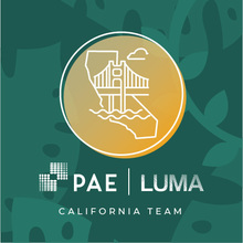 Team PAE | LUMA - California's avatar