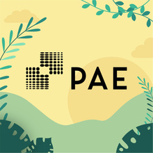 PAE's avatar