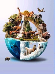 biodiversity  our world (yousa)'s avatar