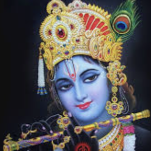 Vivek Yadavayyanamath's avatar
